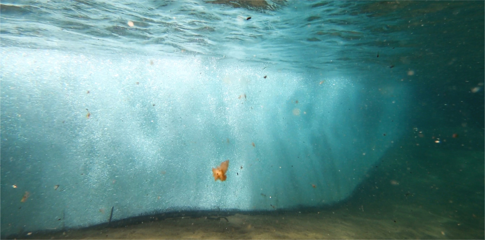 BUB-RIDEAU -TAHOEKEYS008_League_Carousel