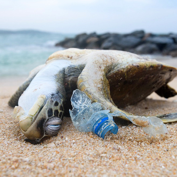 article-bouteille-thumb06