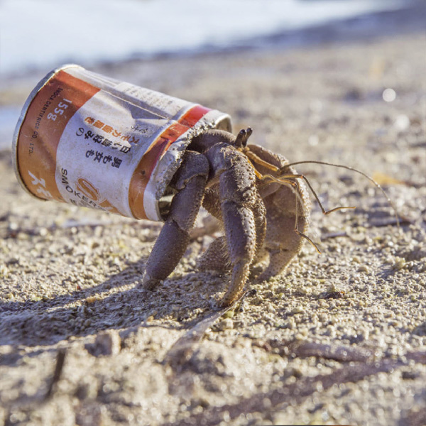 article-cannette-thumb02