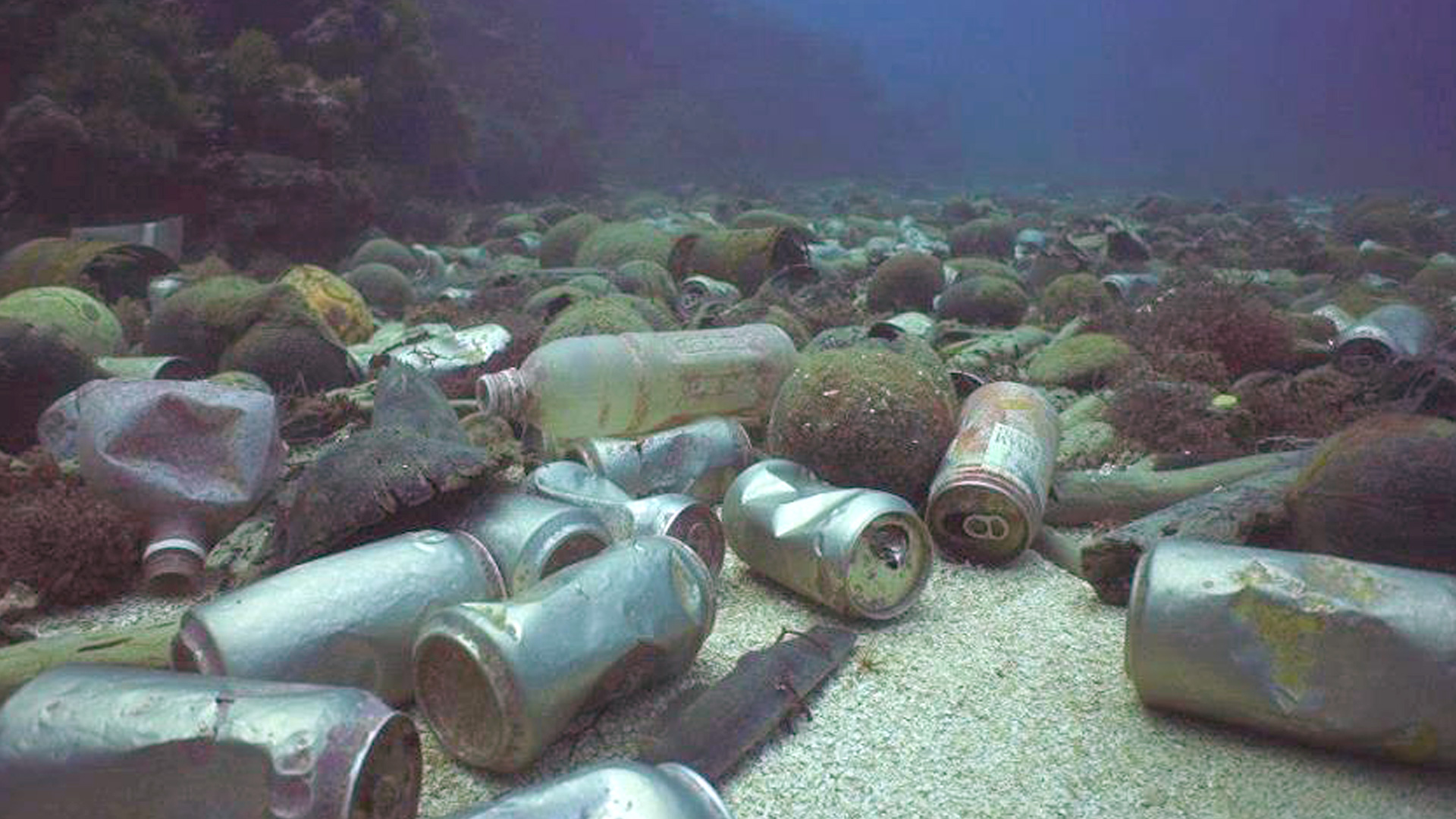 article-cannette-thumb06